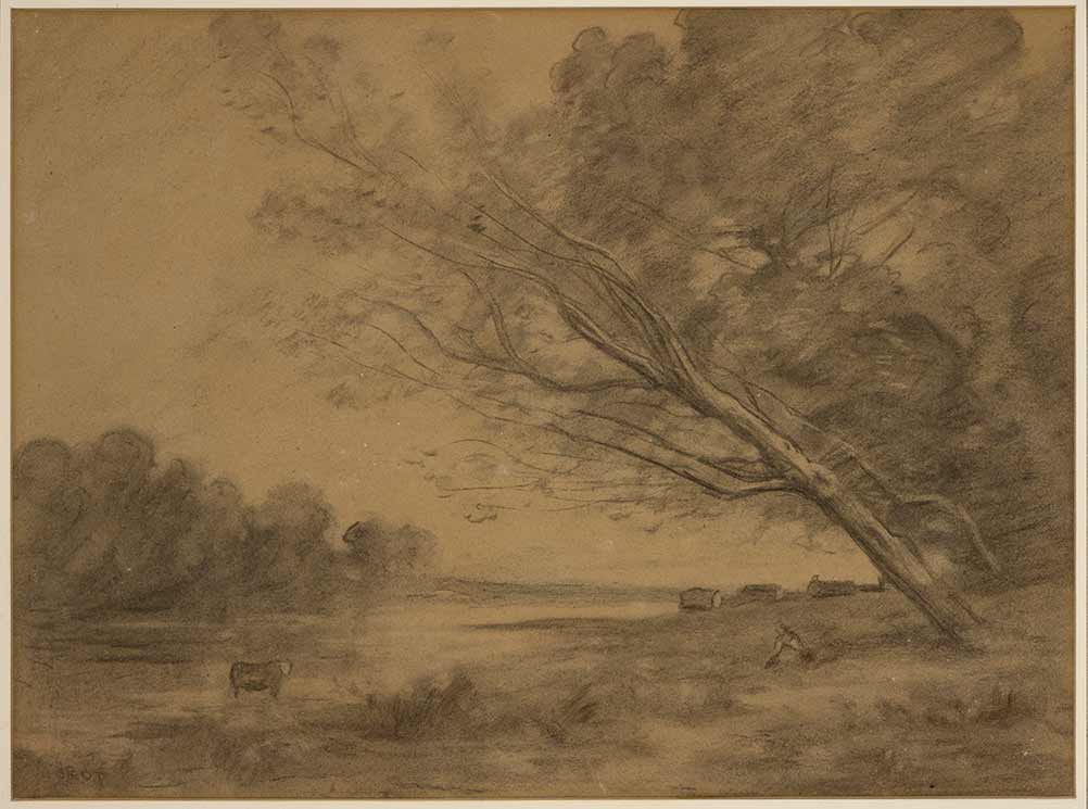 Paisaje de un árbol grande