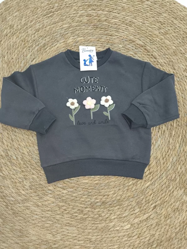 Sudadera lisa